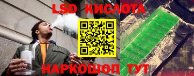 стафф Можга