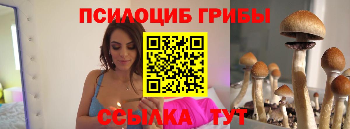 Галлюциногенные грибы Magic Shrooms  Псилоцибиновые грибы Cubensis  купить закладку  Ухта  Вход с VPN 