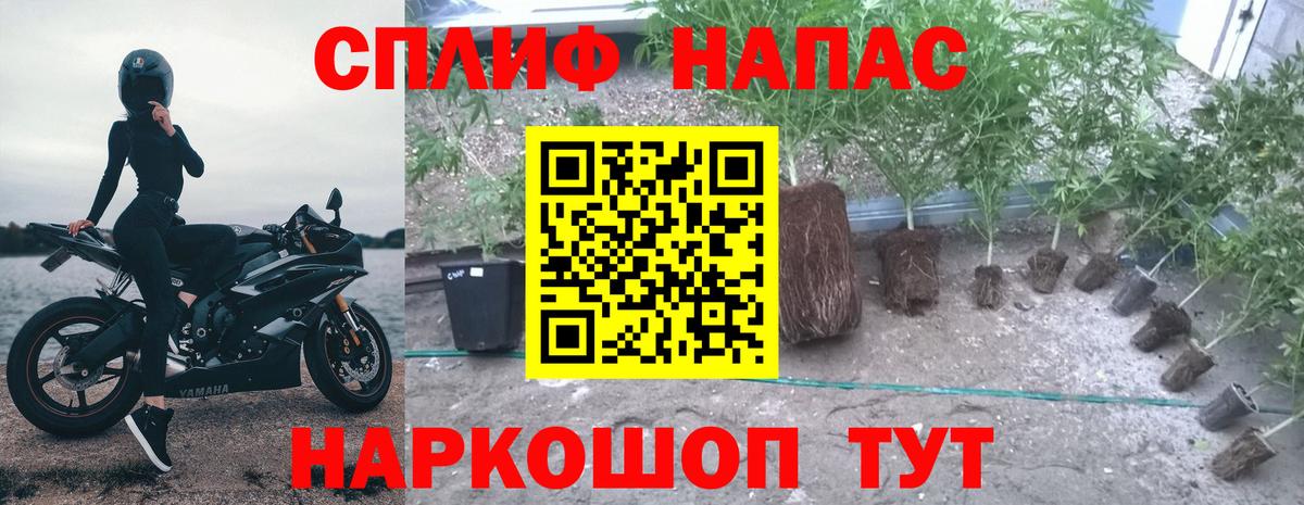 Конопля Ganja  Вход с VPN  Ухта  Канабис планчик  Каннабис конопля  МАРИХУАНА MAZAR 
